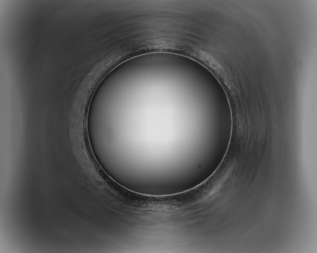 X0000089420625200706151251