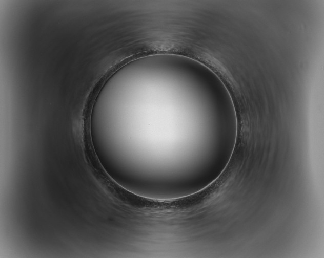 X0000089420626200706151251