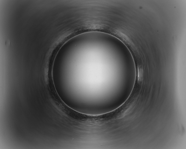 X0000089420627200706151251