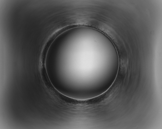 X0000089420628200706151251