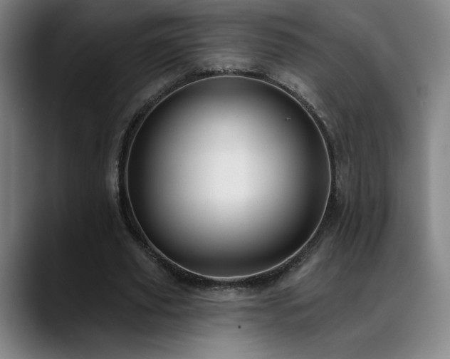 X0000089420629200706151251