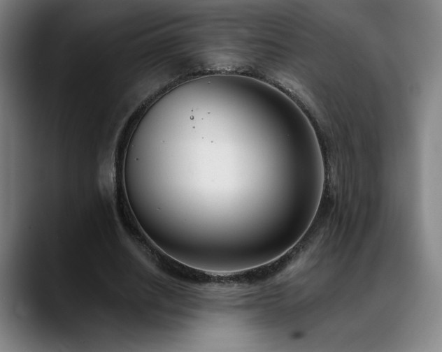 X0000089420630200706151251