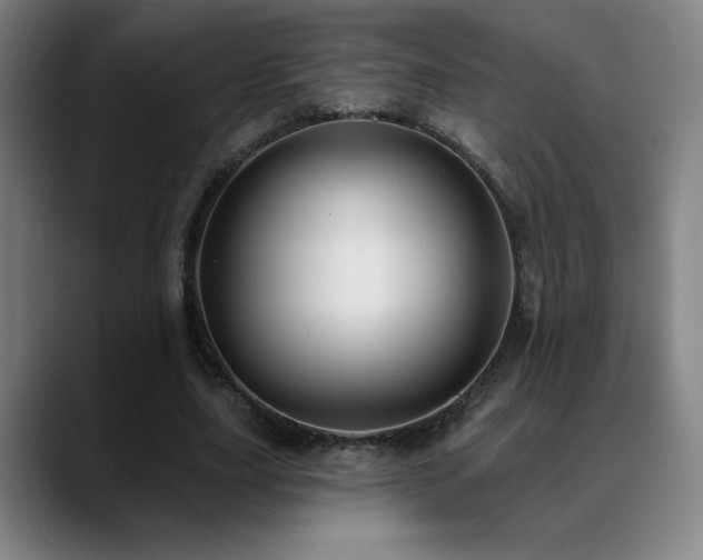 X0000089420631200706151251