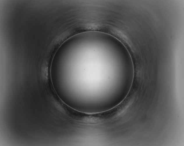 X0000089420633200706151251