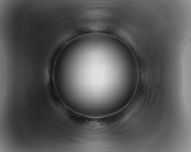 X0000089420635200706151251