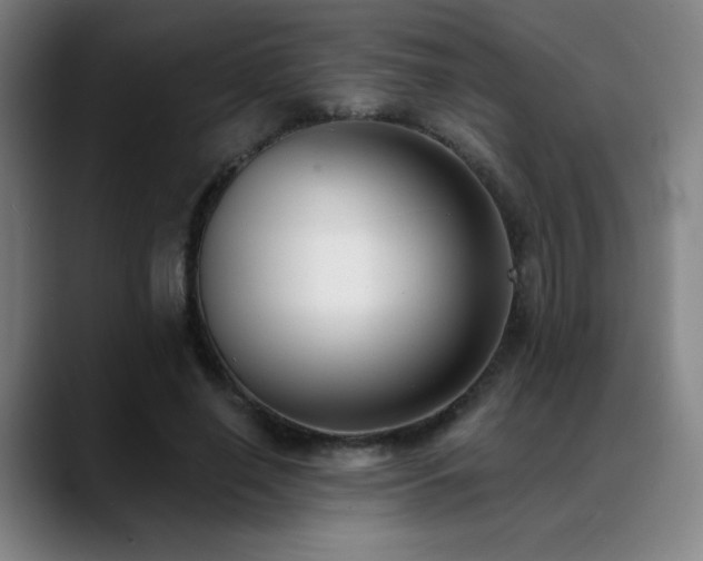 X0000089420638200706151251