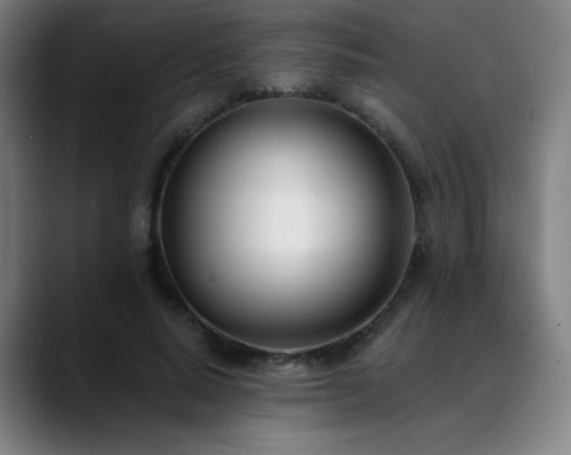 X0000089420640200706151251
