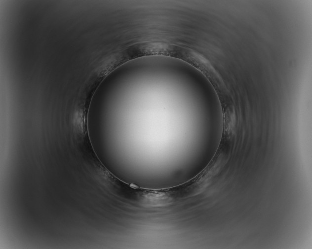 X0000089420669200706151251