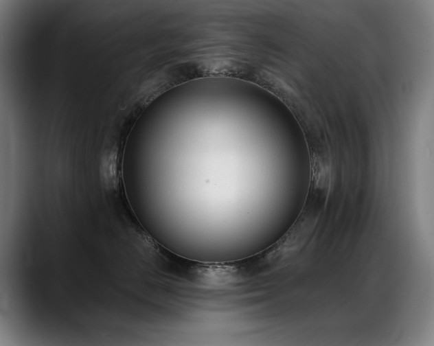 X0000089420670200706151251