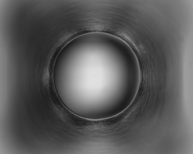 X0000089420674200706151251