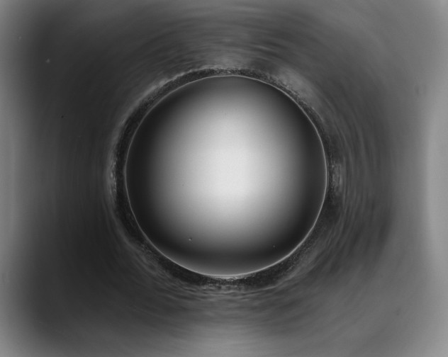 X0000089420676200706151251