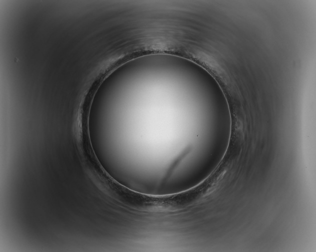 X0000089420678200706151251