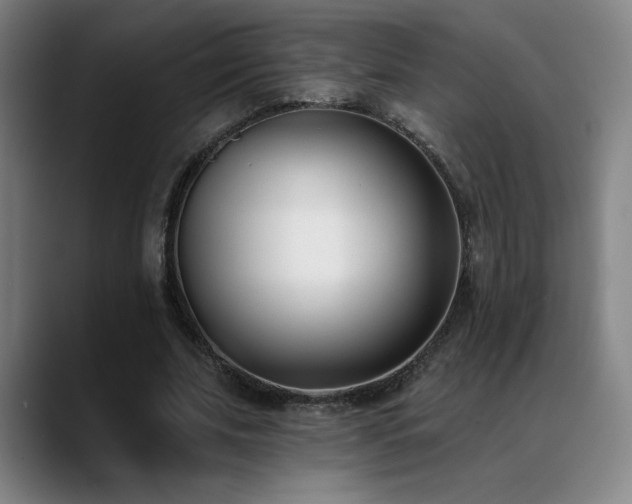 X0000089420679200706151251
