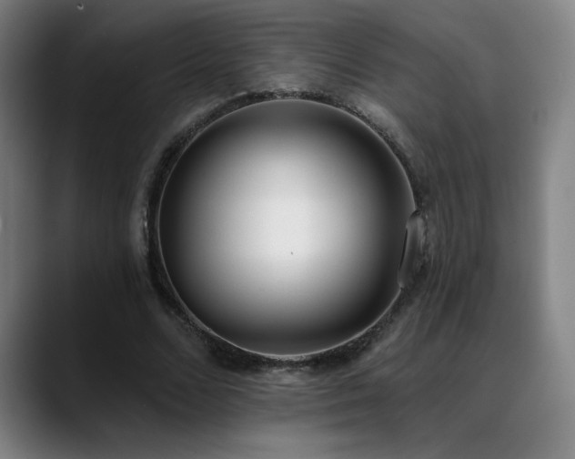 X0000089420680200706151251