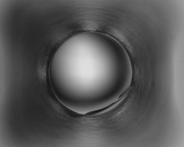 X0000089420681200706151251
