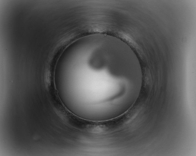 X0000089420683200706151251
