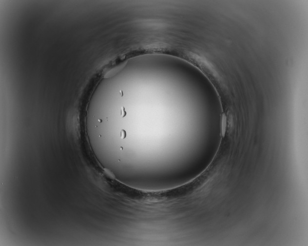 X0000089420684200706151251