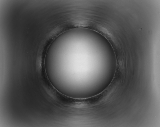X0000089420686200706151251