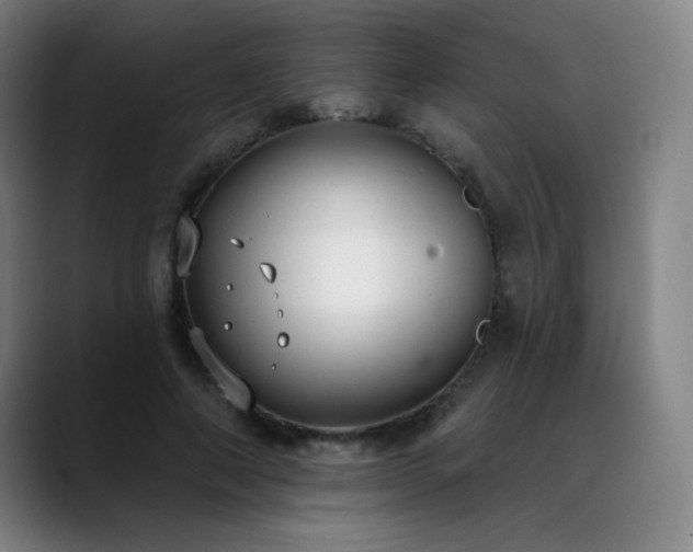 X0000089420690200706151251