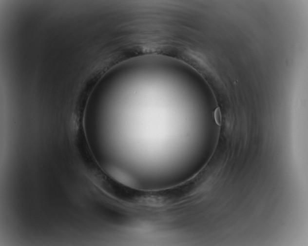 X0000089420691200706151251