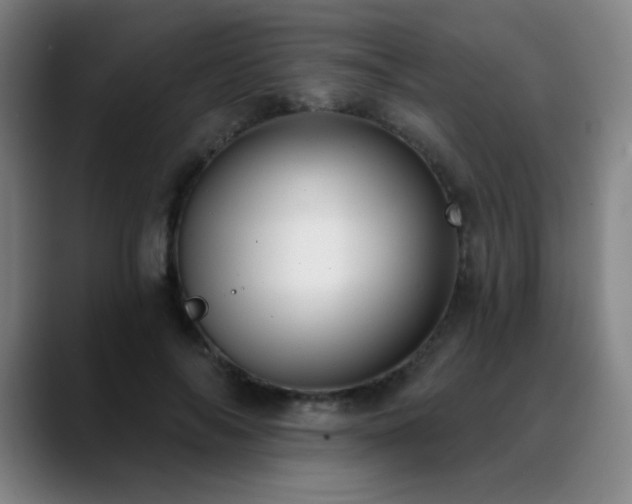 X0000089420694200706151251