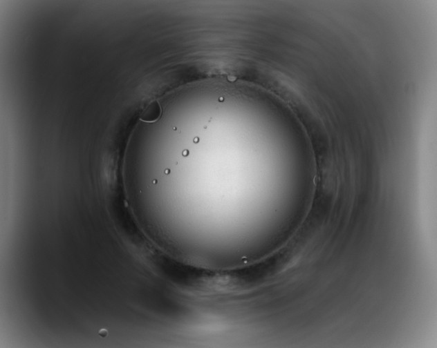 X0000089420695200706151251
