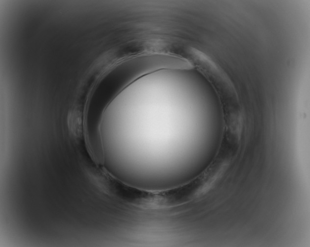 X0000089420696200706151251