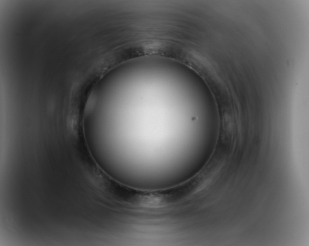 X0000089420698200706151251