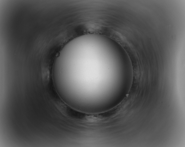 X0000089420703200706151251