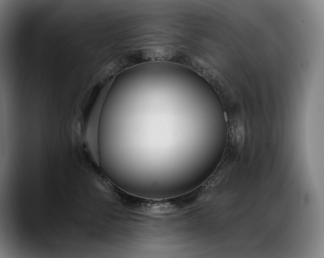 X0000089420716200706151250