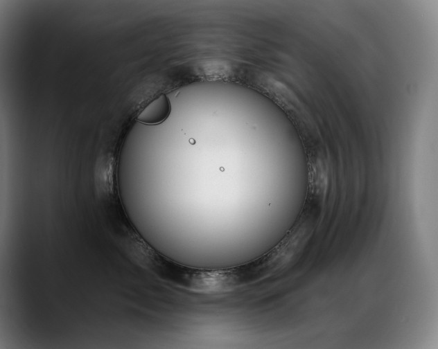 X0000089420717200706151250