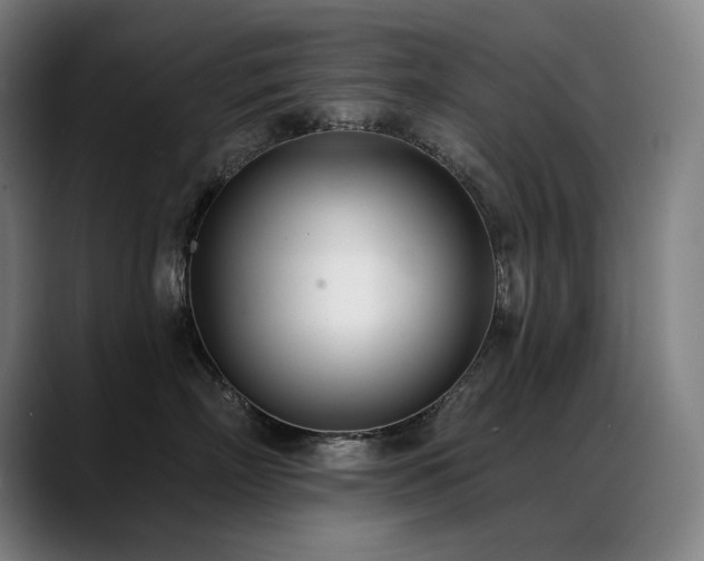 X0000089420718200706151250