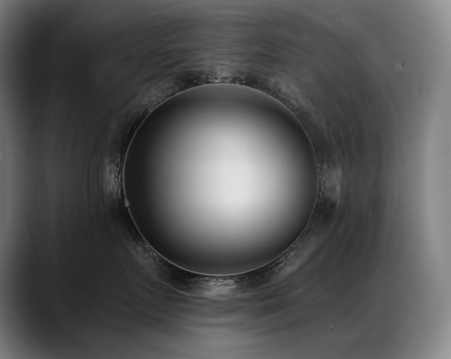 X0000089420719200706151250