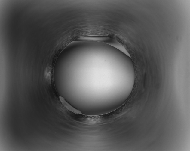 X0000089420720200706151250