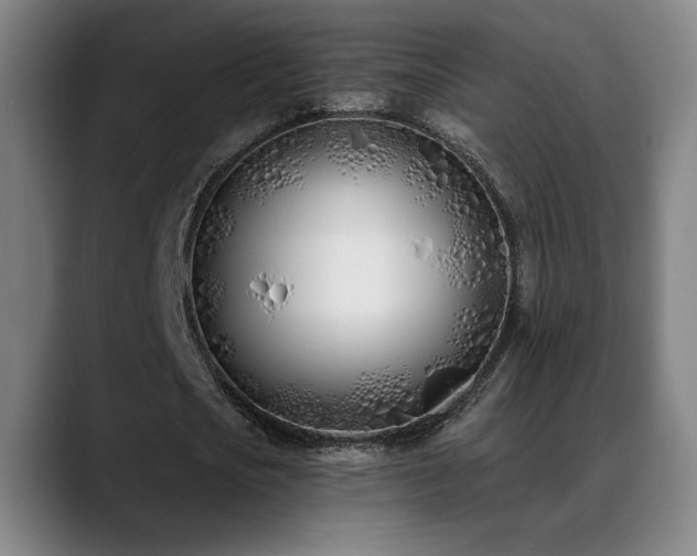 X0000089420721200706151250