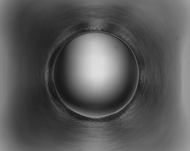 X0000089420722200706151250