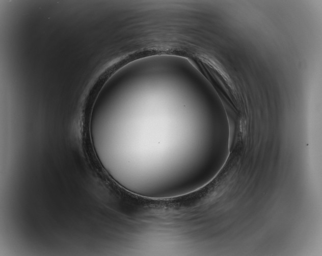 X0000089420724200706151250