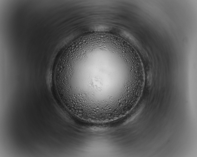 X0000089420725200706151250