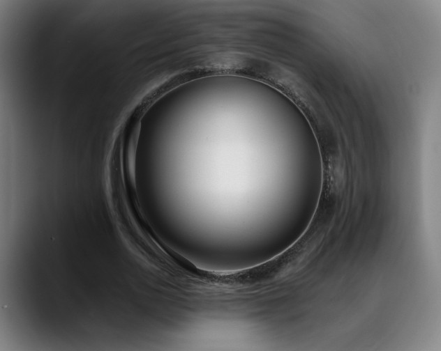 X0000089420726200706151250