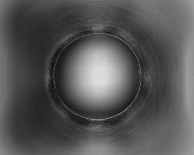 X0000089420728200706151250