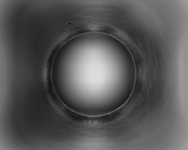 X0000089420730200706151250