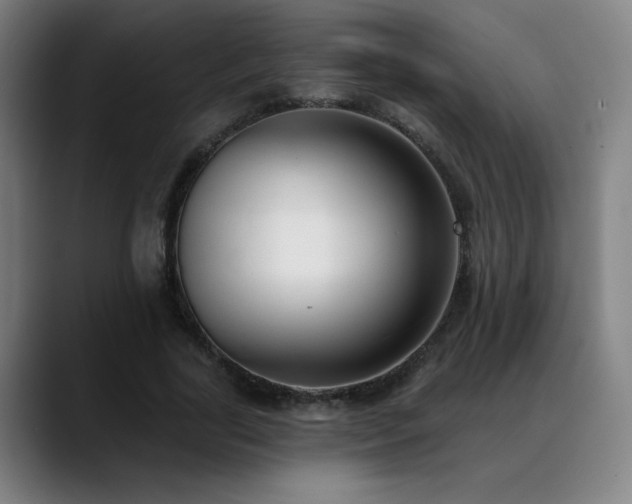X0000089420731200706151250