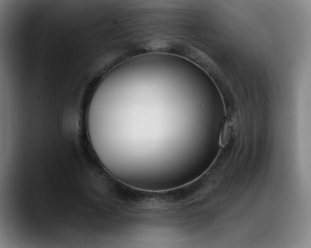 X0000089420732200706151250