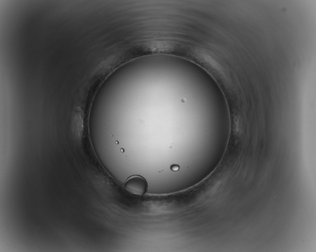 X0000089420733200706151250
