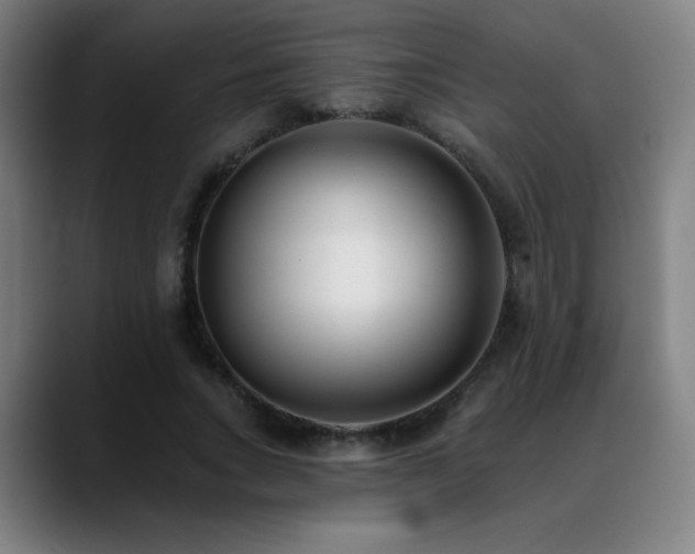 X0000089420735200706151250
