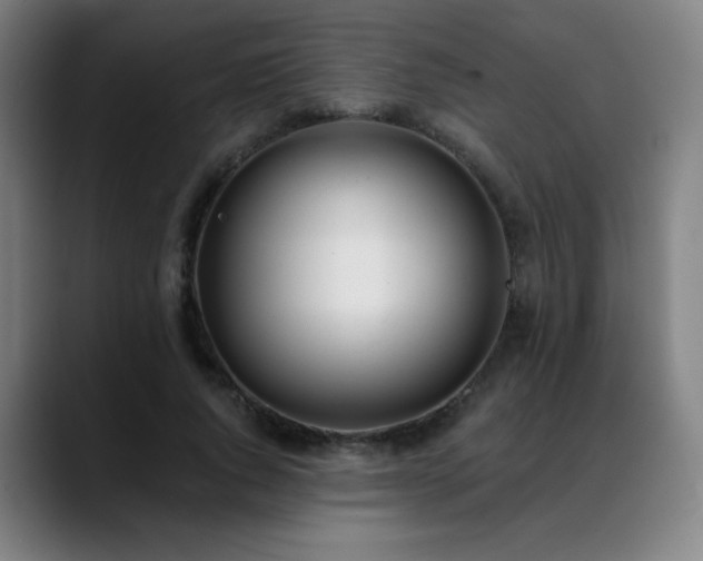 X0000089420736200706151250