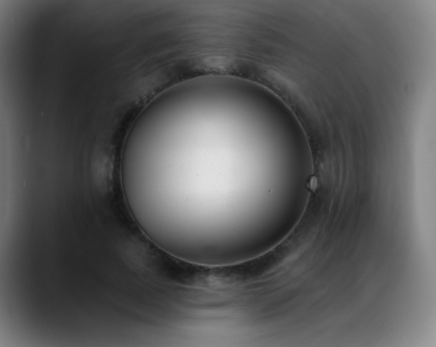 X0000089420739200706151250