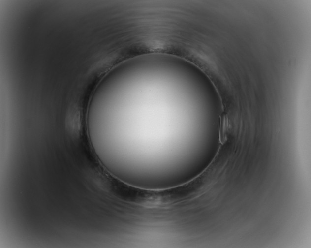 X0000089420740200706151250