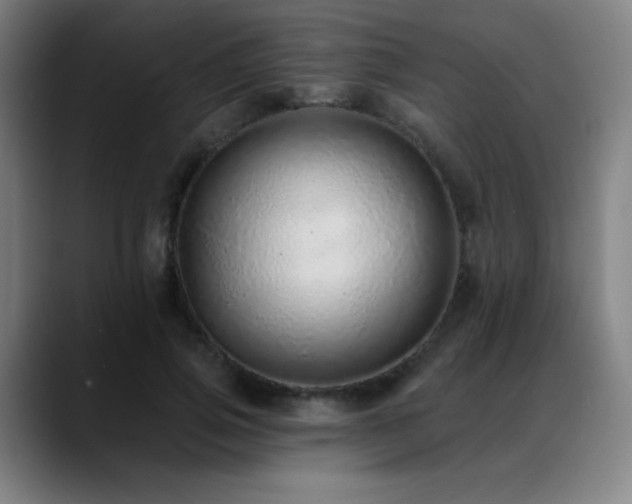 X0000089420741200706151250