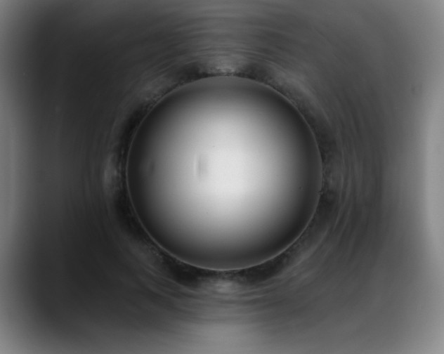 X0000089420743200706151250